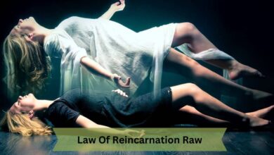 Law Of Reincarnation Raw