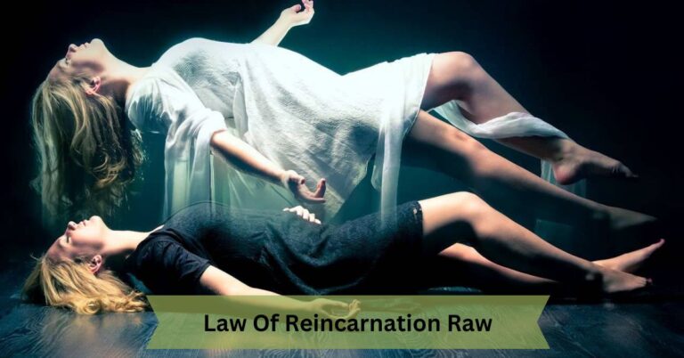 Law Of Reincarnation Raw