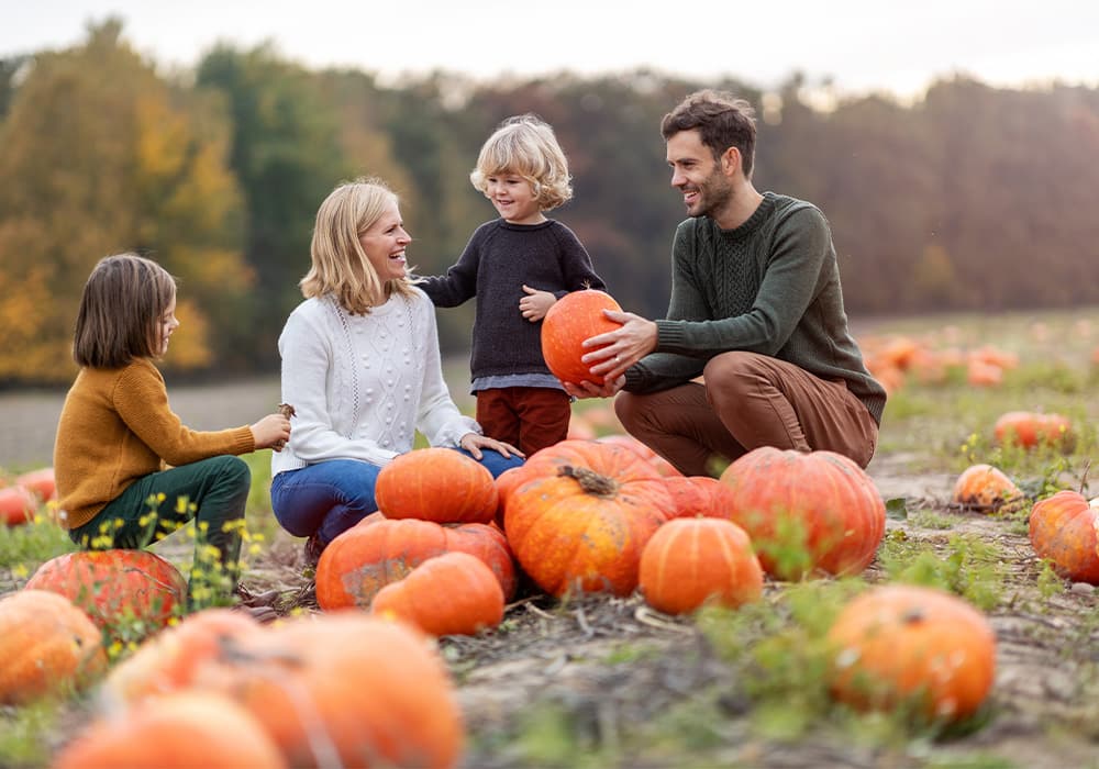 Essential Tips For Your Live Oak Pumpkin Patch Adventure!