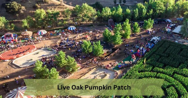Live Oak Pumpkin Patch