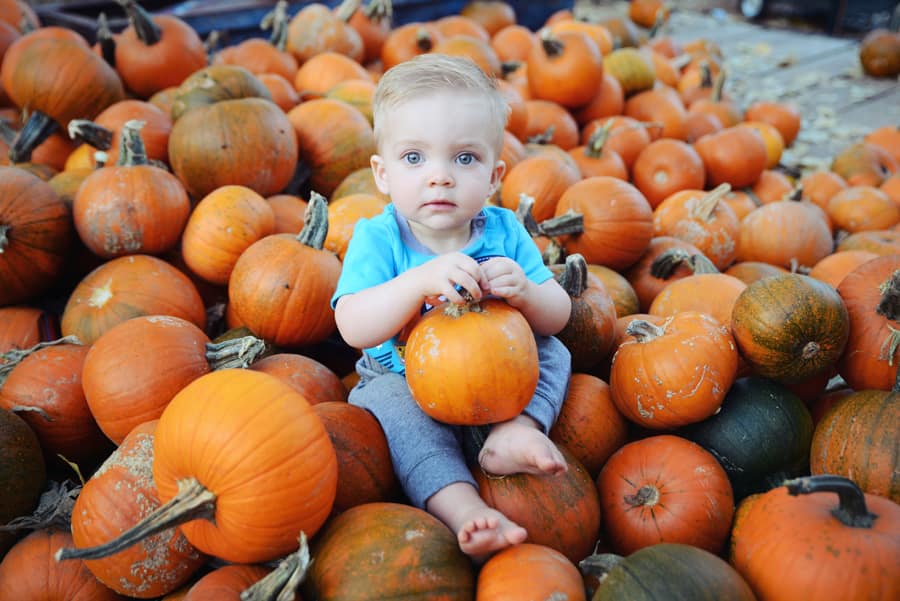What Activities Can You Enjoy At Live Oak Canyon Pumpkin Patch?