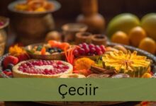 Çeciir – The Richness Of Cultural Heritage!