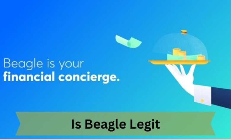 Is Beagle Legit