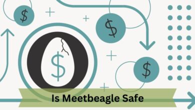 Is Meetbeagle Safe