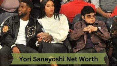 Yori Saneyoshi Net Worth