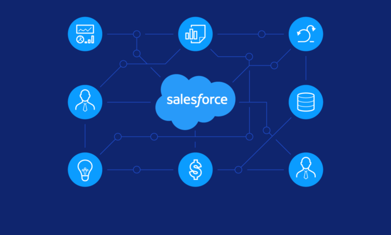 5 Ways a Salesforce Consultant Can Design a Database To Fit Your Needs