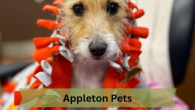 Appleton Pets