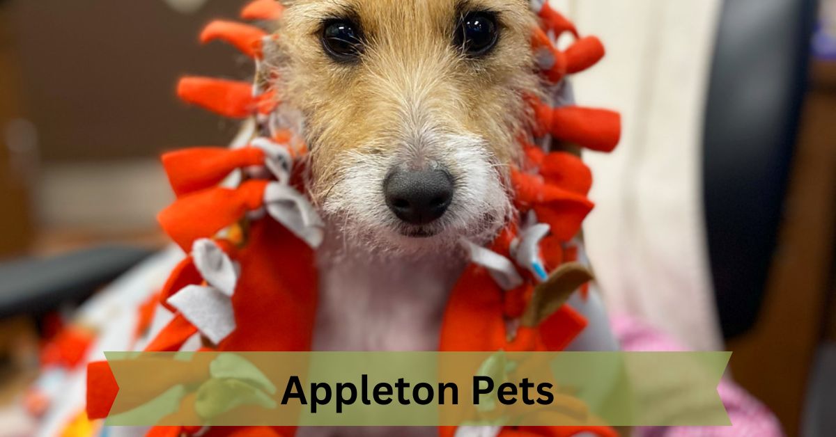 Appleton Pets