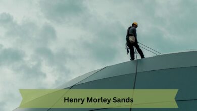 Henry Morley Sands