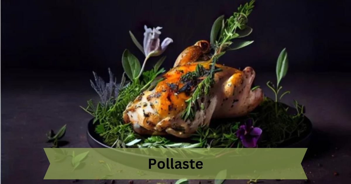 Pollaste