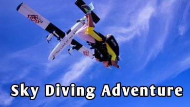 Defy Gravity: Discovering the World of Sky High Activities