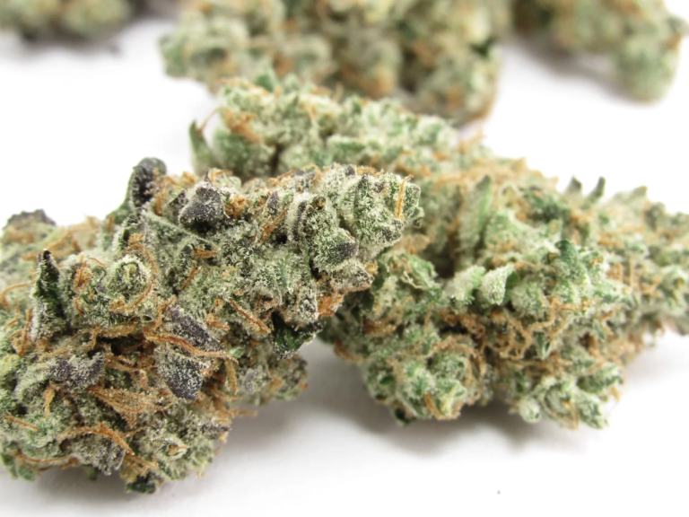 Frequently Asked Questions About THCa Flower