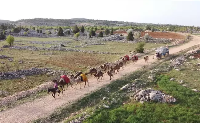 Life Of Utanmaz Türklere On Steppes