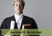 Barrister Or Barista Nyt