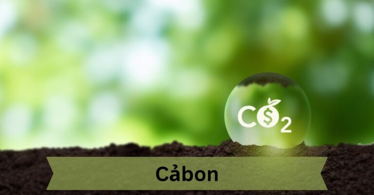 Cabon