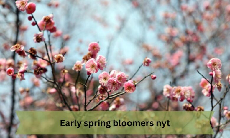 Early spring bloomers nyt