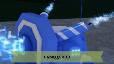 Cybegg9000