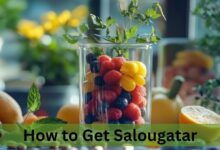 How to Get Salougatar: A Comprehensive Guide!