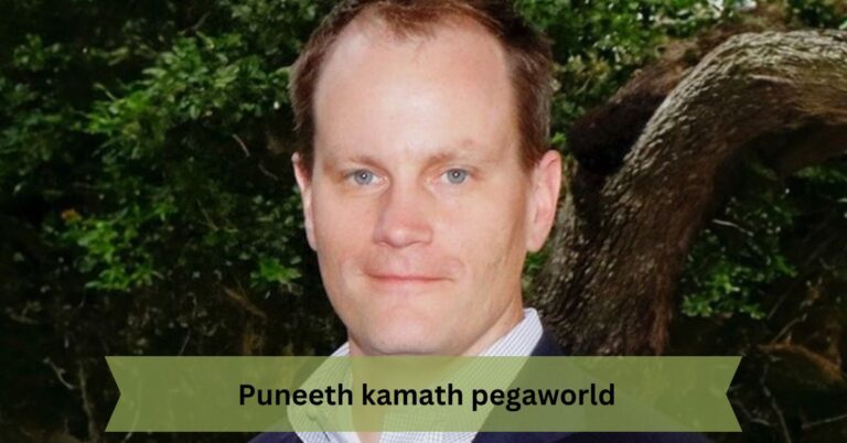 Puneeth kamath pegaworld – Pioneering Innovation at PegaWorld!