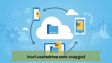 inurl:usersdrive.com snapgod