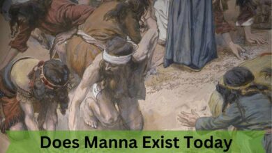 Does Manna Exist Today