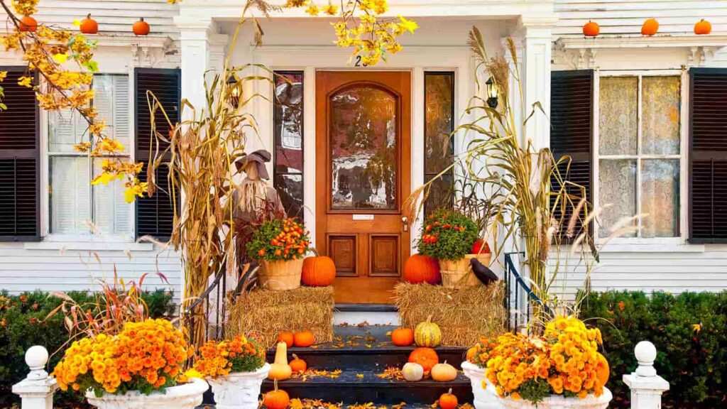 How Can You Transform Your Yard into a Cute Halloween Wonderland?