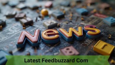 Latest Feedbuzzard Com