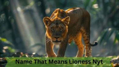 Name That Means Lioness Nyt – A Guide to Empowering Choices! 