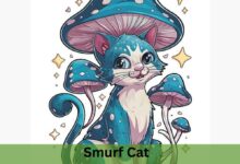 Smurf Cat