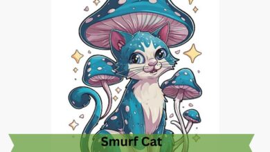 Smurf Cat