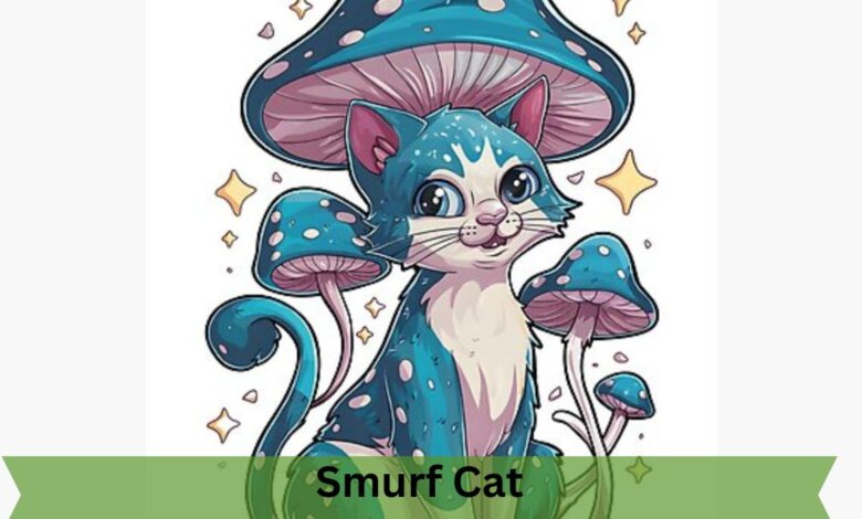 Smurf Cat