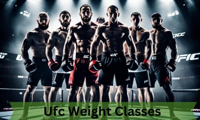 Ufc Weight Classes