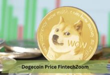 Dogecoin Price FintechZoom