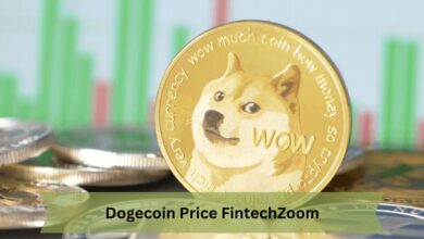 Dogecoin Price FintechZoom