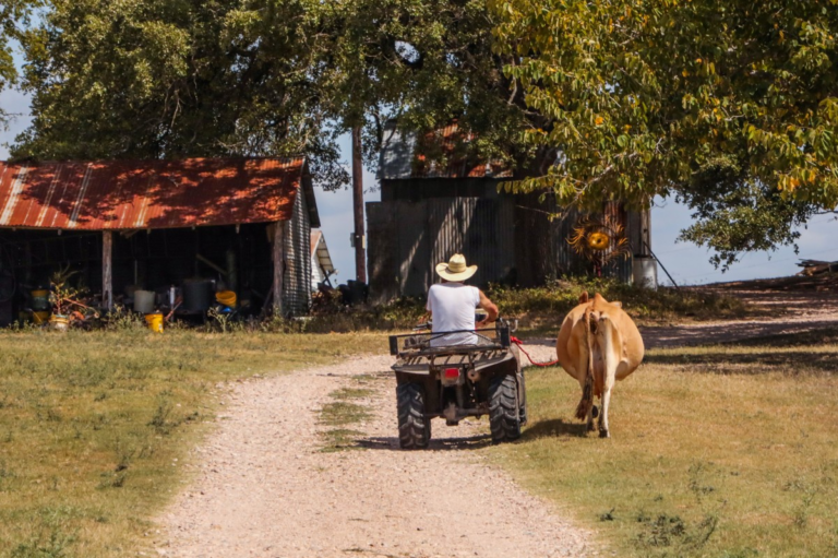 Effective Strategies for Successful Ranch Living: Tips and Techniques