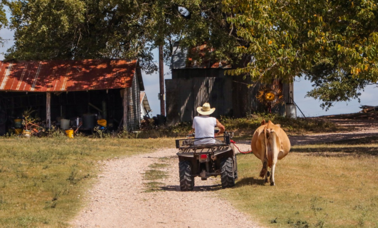 Effective Strategies for Successful Ranch Living: Tips and Techniques