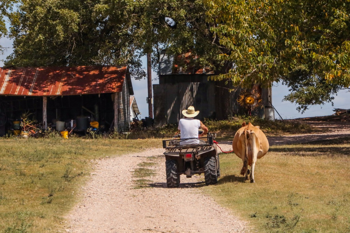Effective Strategies for Successful Ranch Living: Tips and Techniques