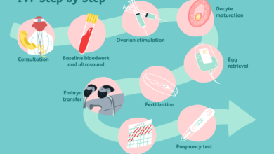 What Is a Complete IVF Cycle?