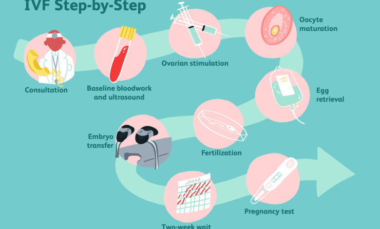 What Is a Complete IVF Cycle?