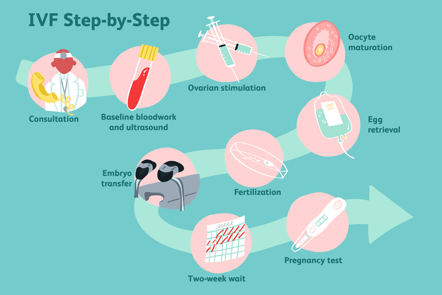 What Is a Complete IVF Cycle?
